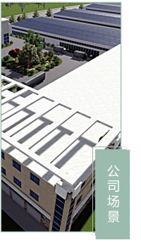 公司场景